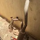 هدرز راسين