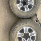 جنوط جيب للببع