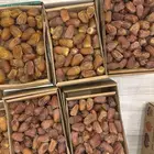 تمر بانواعه من انتاج مزرعتي بوادي ارن