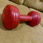 رياضة حق دمت