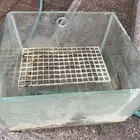 حوض للسمك