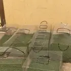 شبوك جديد لم تستخدم للبيع