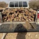 مستورد حطب سمر يابس على شرط