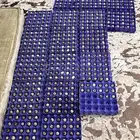 بيض مخصب سمان تكساس عملاق