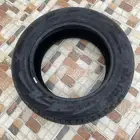 تيرين للبيع