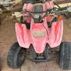 دباب سويدي للبيع