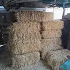 تبن بر للبيع