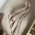 هدرز ددسن و دبة ددسن صوت وشبك