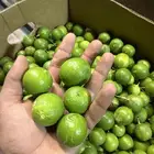 ليمون
