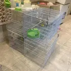 مستلزمات طيور