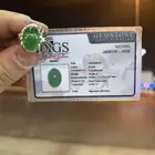 خصومات بمناسبه مولد النبوى الشريف