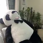 دبدوب