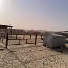 مجلس وشبك ابل للبيع