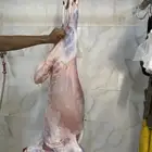 طليان حريه ذبايح طيبه