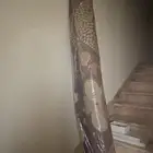 فرشه نظيفه للاطفال