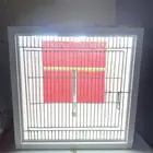 استيديو تصوير الطيور