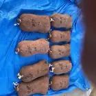 شنان تمر صفري بيشه حبه كبير ومظمون