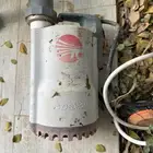 شفاط بدرولا نضيف جدا
