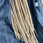 مساويك من وادي حلي بمحافظة القنفذة
