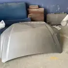 كبوت يارس وكاله 2024 فضي
