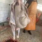 حسيل شركه ربع 1400 وثمن 700