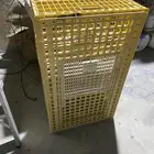 قفص دواجن