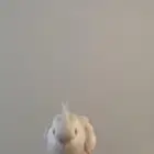 ببغاء كروان غير أليف