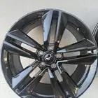 جنوط موستنج  موستنق