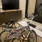 رامبو رمادي لون نادر