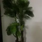 شجرة صناعية