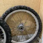جنوط صحراوي 85