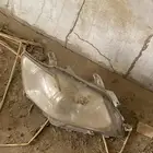 شمعات اريون من موديل 2007 حتى 2011