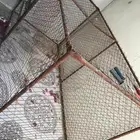 شبك للطيور والحيوانات