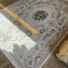 زولية جديدة