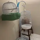 قفص