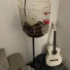 قفص كامل معا استاند با 100