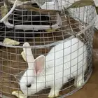 شريته وتوهقت ماعندي وقت أبدا له