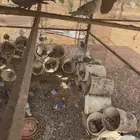 حمام عشتين للبيع