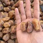 تمر فله خلاص (اخلاص) شقراء مقمع ومفروز