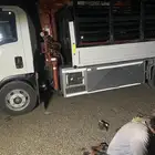 دنه وينش متواجهه من بيشه لرياض