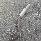 طلقة فتك اخيره