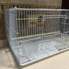 قفص طيور معه اكل خاص