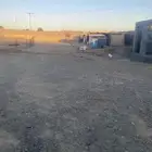 حوش للايجار في ضباء عيانه