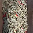 عود ماليزي ترتقانو