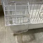 قفص ببغاء