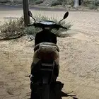 دباب بطه في نجران