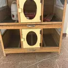 قفص دجاج طيور