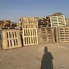 طبليات للبيع الموقع شمال عفيف