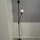 اضائتين مع لمباتهم
