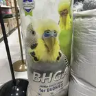 اكل كروان وبادجي